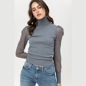 Cute Mesh Sleeve Knit Turtleneck - Light Teal